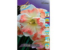 42,21���. ������� ��� ����(�������� ���� �� 7 ��., ����������� ����� 1��.).jpg