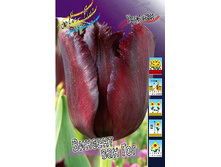 22,24���. ������� ������� ��� ���(��� 10 ��. ���������� ������ 5��.).jpg