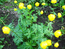 IMG 4770.JPG