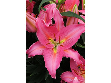 31,06���. ����� ��� ���(��� 5 ��. ���������� ������ 2 ��� 3 ��.)���15.jpg