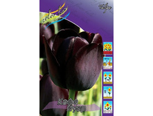 16,62���. ������� ���� ����(��� 10 ��. ���������� ������ 5��.).jpg