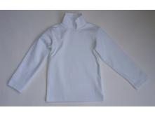 Phoca thumb l 1-091-09.jpg