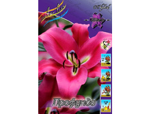 43,3���. ����� ��������(�������� ���� �� 5 ��., ����������� ����� 1��.).jpg