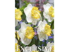 30,03���. ������� ������ ����(��� 7 ��. ���������� ������ 3 ��� 4 ��.)���16.jpg