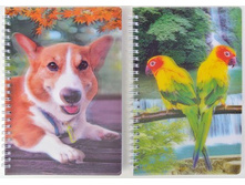 ������� 10*15 �� 3D �� ������� 000011924