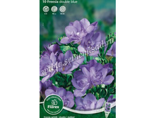 ������ �������� ���.jpg