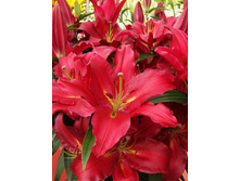 38,8���. ����� ���� �������(��� 5 ��. ���������� ������ 2 ��� 3 ��.).jpg