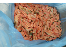 �������� ���������������� ���������� (��� �������) 90-120 ��/��