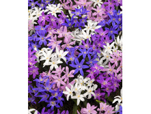 6,32���. ���������� �����(���������� ������ ������ ���������� �� 10 ��.)���16.jpg