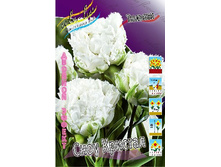 30,03���. ������� ���� �������(��� 7 ��. ���������� ������ 3 ��� 4 ��.).jpg