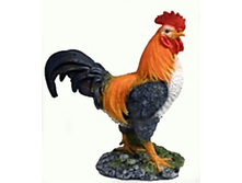 ����� ������� � ������� �������