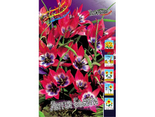 13,81���. ������� ����� �����(���������� ������ ������ ���������� �� 10 ��.).jpg