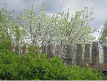 ����� 018.jpg