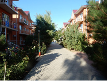 ��������� ����, ��������, ������-��������, 2015 ���