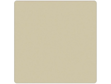 ����� 170 Jersye ���������_750,00 ���.