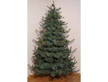 ���.����  �� ����� ������� ����� �������