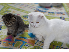 � �����.jpg