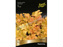 ������� ��������� ��������.jpg