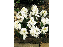 8,19���. �������� ��������� �����(���������� ������ ������ ���������� �� 10 ��.).jpg