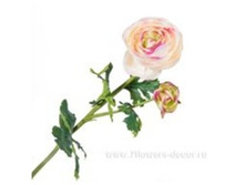 3661864013512 ������ ������������� �����, 51�� 192 225,4.jpg