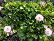 IMG 20160509 175722.jpg