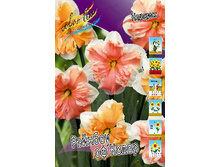 35,66���. ������� ������� �� ������(��� 7 ��. ���������� ������ 3 ��� 4 ��.).jpg