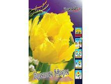 19,43���. ������� ������ ����(��� 10 ��. ���������� ������ 5��.).jpg