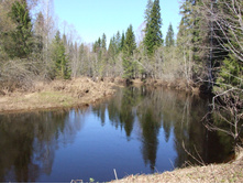 �. �����