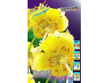 33,62���. ���������� ������(��� 5 ��. ���������� ������ 2 ��� 3 ��.).jpg