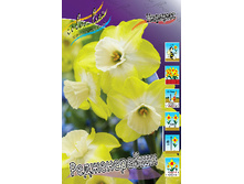 19,43���. ������� ������������(��� 10 ��. ���������� ������ 5��.)���15.jpg