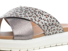 61-PD-03 C ����� ������ ��������, �������, ���.����, �����- �������, ���.����, ���.jpg