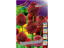 6,46���. ��� �����. �������������(���������� ������ ������ ���������� �� 15 ��.).jpg