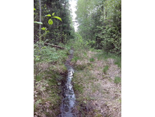 IMG 20160522 141947.jpg