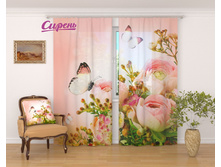 03181 �������� "���������� �����"