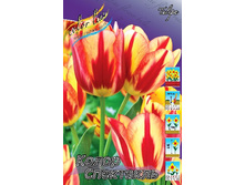 20,93���. ������� ����� ���������(��� 10 ��. ���������� ������ 5��.).jpg