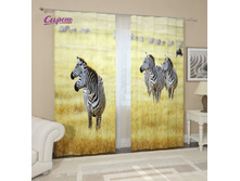 04592. ��������� "����� ����"