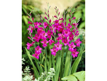 9,69���. ��������� ������������(���������� ������ ������ ���������� �� 10 ��.).jpg