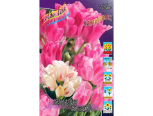 23,18���. ������� ����� ����(��� 10 ��. ���������� ������ 5��.).jpg