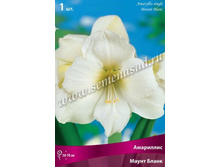 ��������� ����� �����.jpg