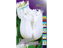 24,11���. ������� �������� �����(��� 10 ��. ���������� ������ 5��.).jpg