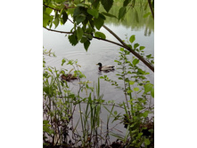 IMG 20160523 173949.jpg