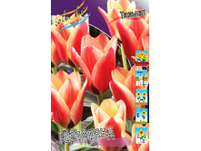 16,62���. ������� ��������(��� 10 ��. ���������� ������ 5��.)���15.jpg