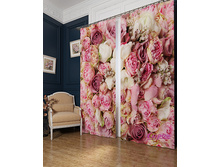 01134 ��������� "����������"