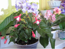 ������ �������� 03.05.16�.