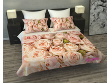 02365-��-��-004 "������� ����"