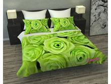 01825-��-��-004. "������� ����"