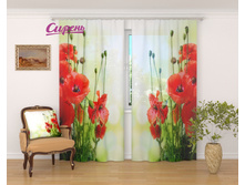 03563 �������� "���� �� ������� ����"