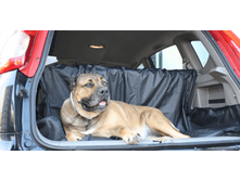 ��������� � �������� ��� ����� ���������� �� �����, ������, ���� ���. ����