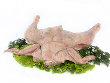 �������� ������.jpg