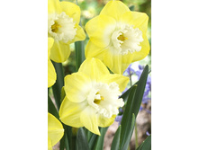 47,3���. ������� ���� ������(�������� ���� �� 5 ��., ����������� ����� 1��.).jpg